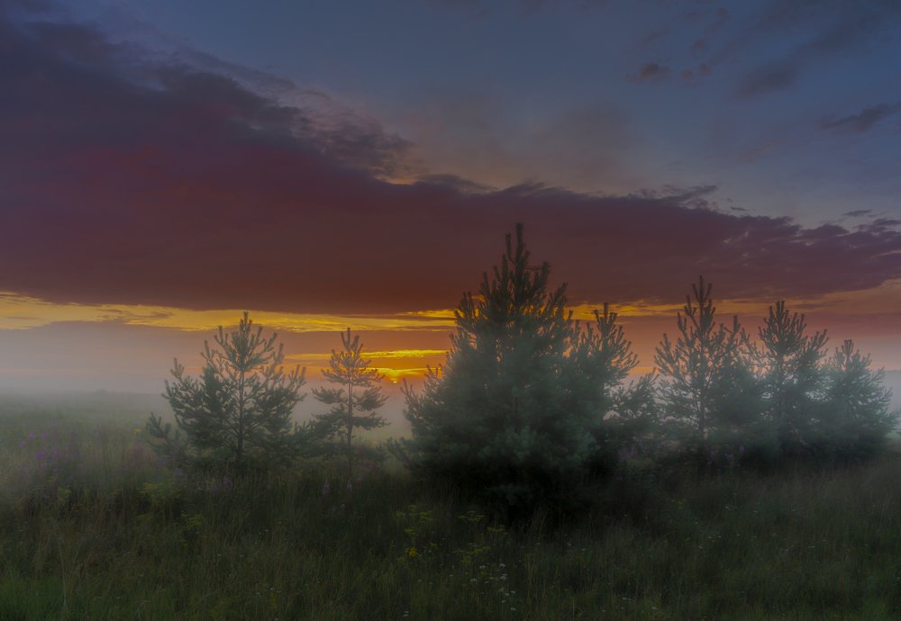 Photograph by Susanna Kari