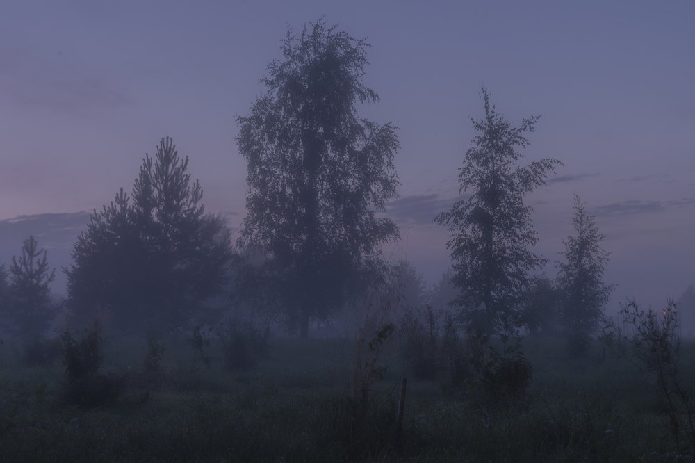 Photograph by Susanna Kari