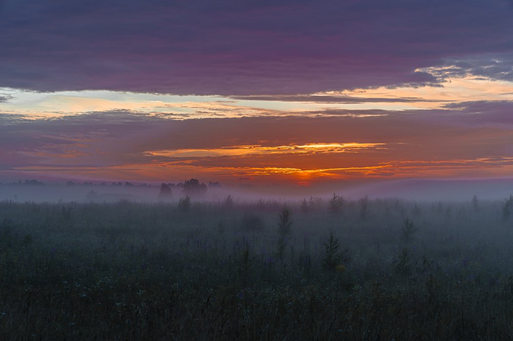 Photograph by Susanna Kari