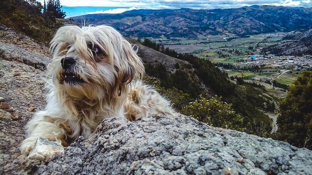 Photograph by Leonardo Otálora