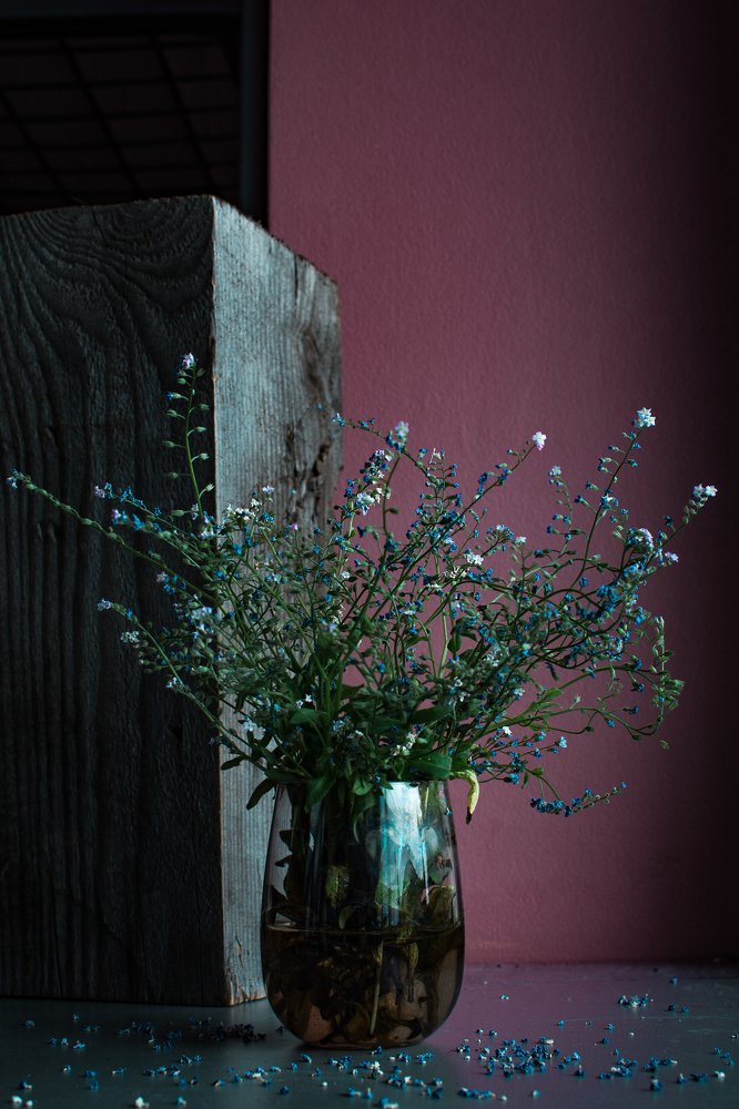 Photograph by Соша Грухина