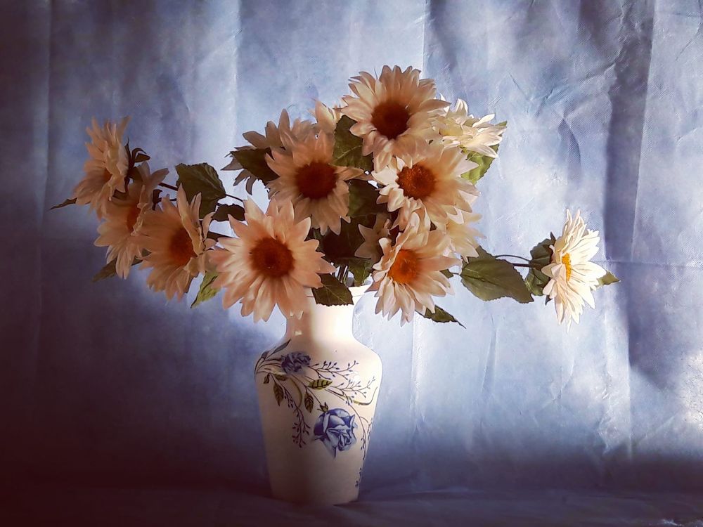 Photograph by Régis Santos