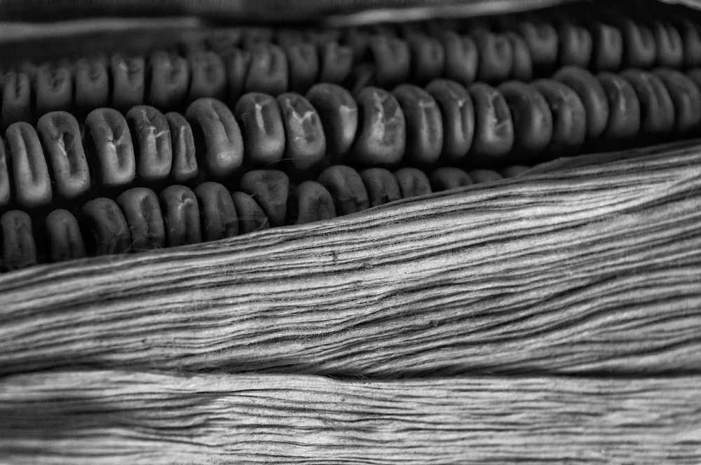 Photograph by Eldeeb Eman