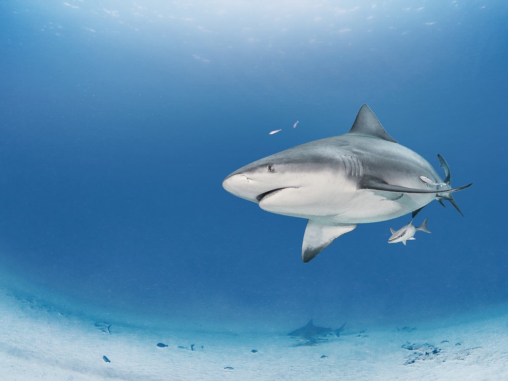 Photograph by Mizael Palomeque