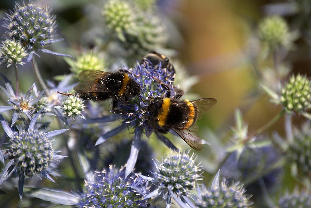 Photograph by Yroslava Veretina