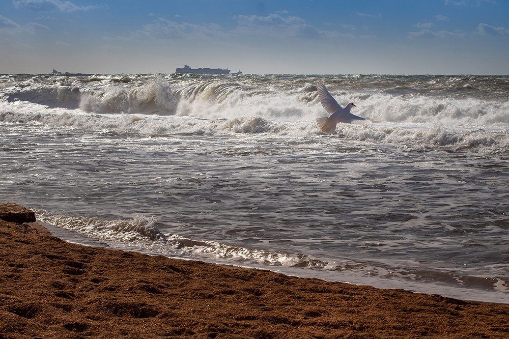 Photograph by Аркадий