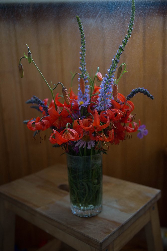 Photograph by Надежда Моряхина