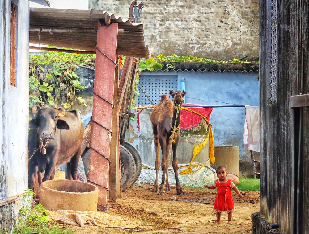 Photograph by Helen McLain