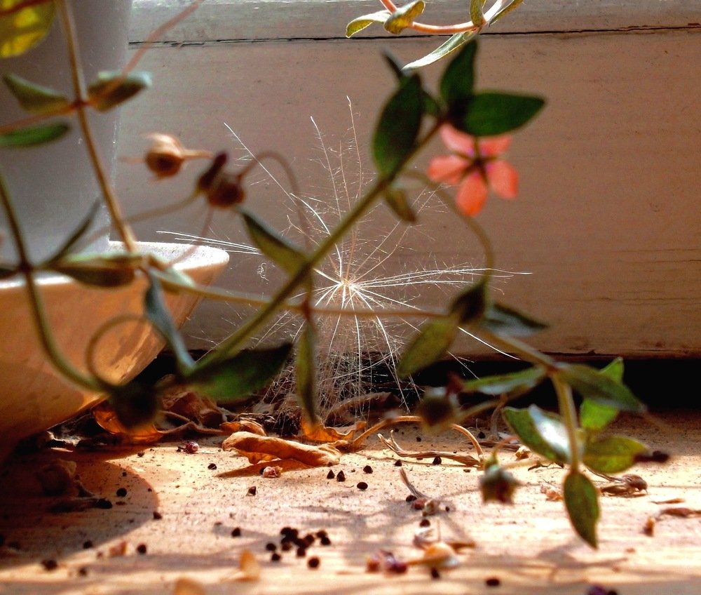 You'll get a letter pretty soon