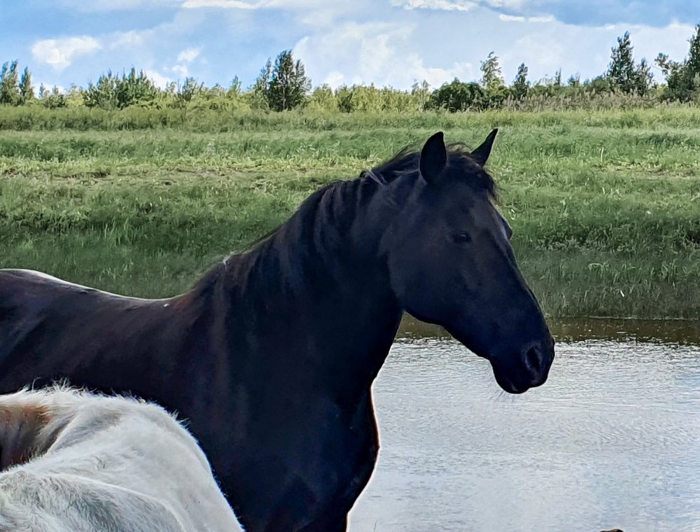 Photograph by Руслан Абдрашитов