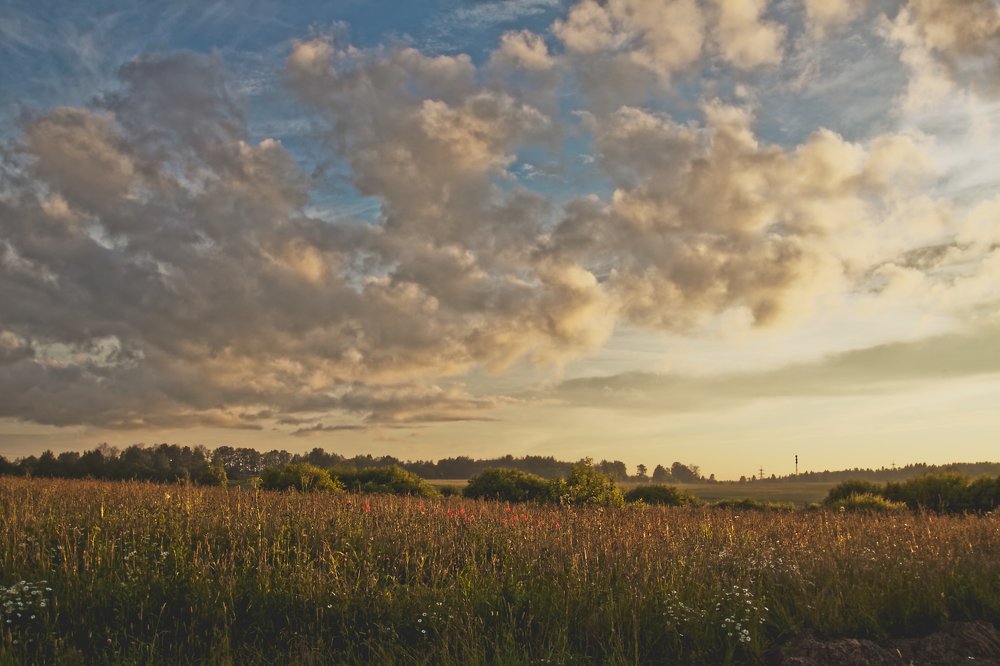 Photograph by Анатолий Калмыков