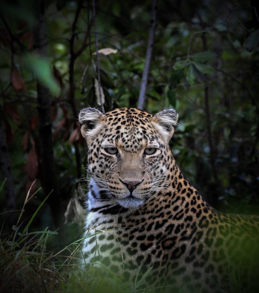 Photograph by Sheel Gosrani