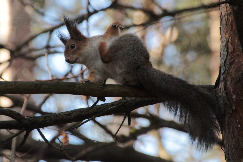 Photograph by Илья Беликов