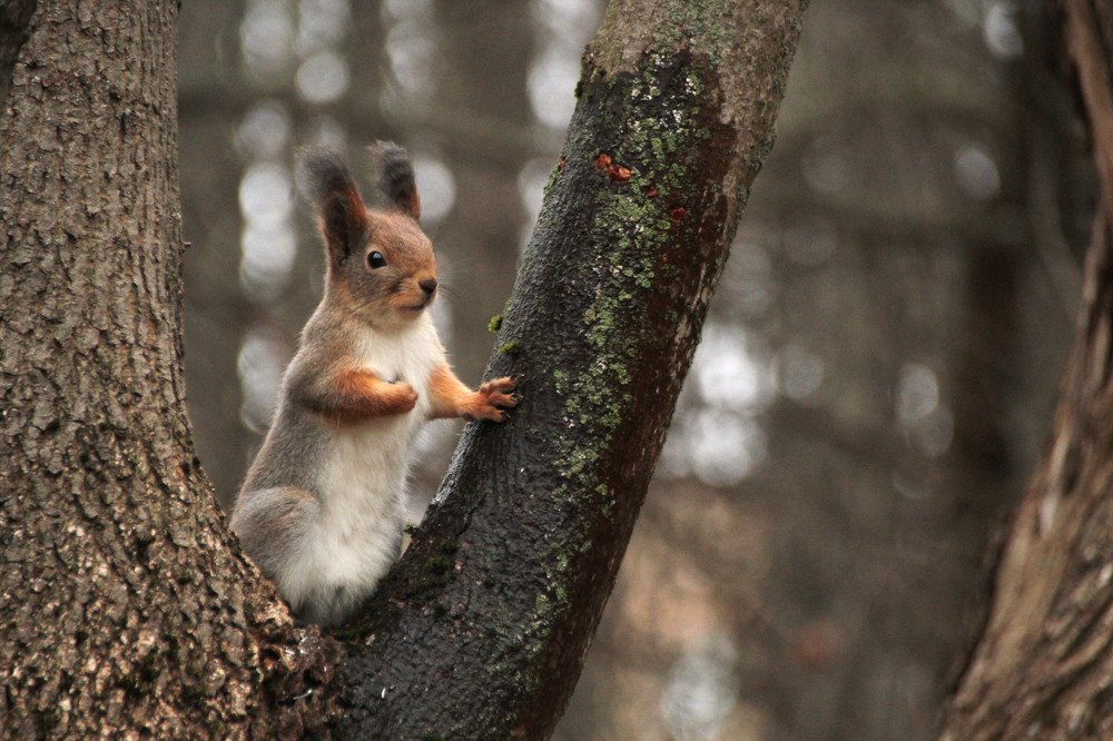 Photograph by Илья Беликов