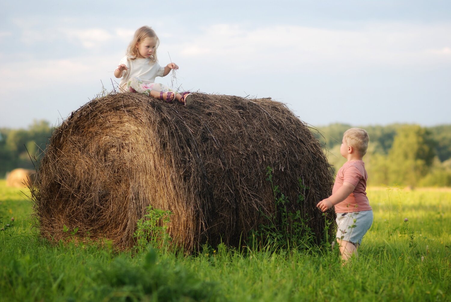 Photo #4811024