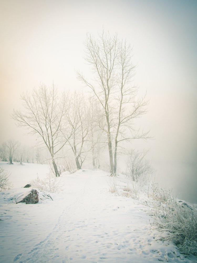 Photograph by Юрий