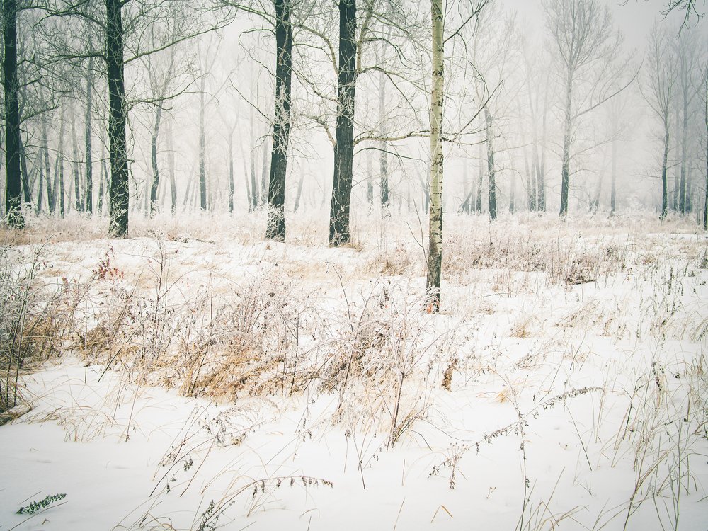 Photograph by Юрий