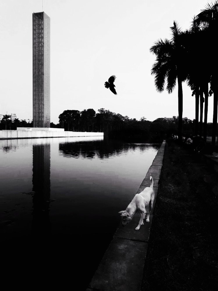 Photograph by Talha Muhtasim Syed