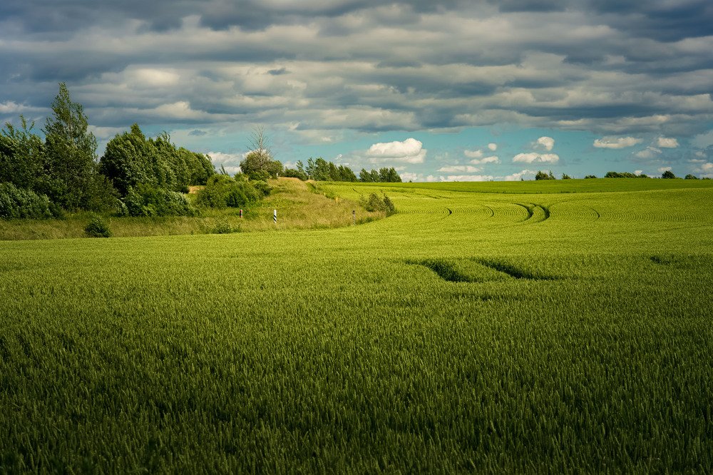 Photograph by Silja Tamme