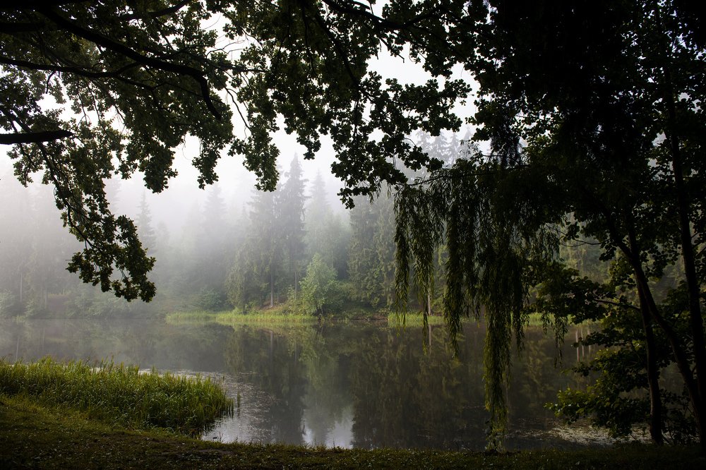 Утро над озером