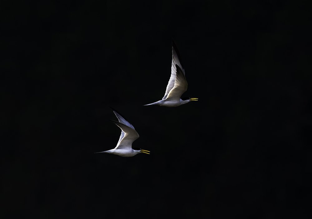 Photograph by Paulo Guerra