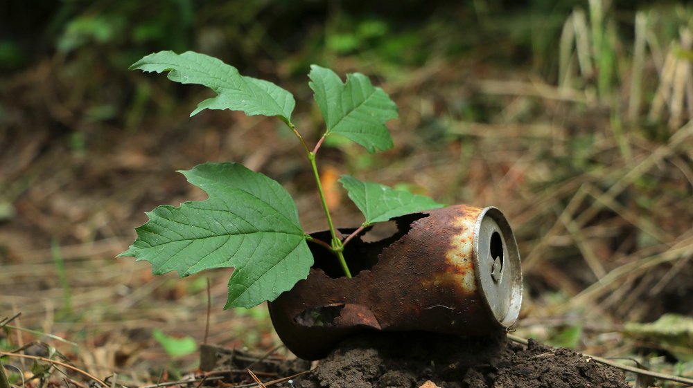 Photograph by Александр Шаварёв