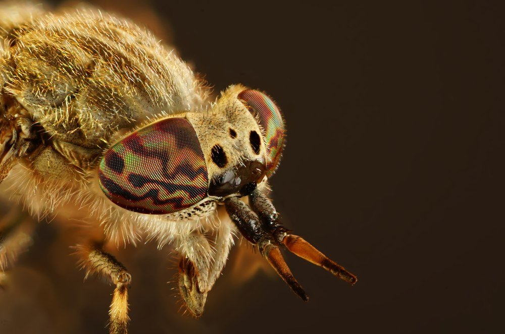 Photograph by Сергей Прокофьев