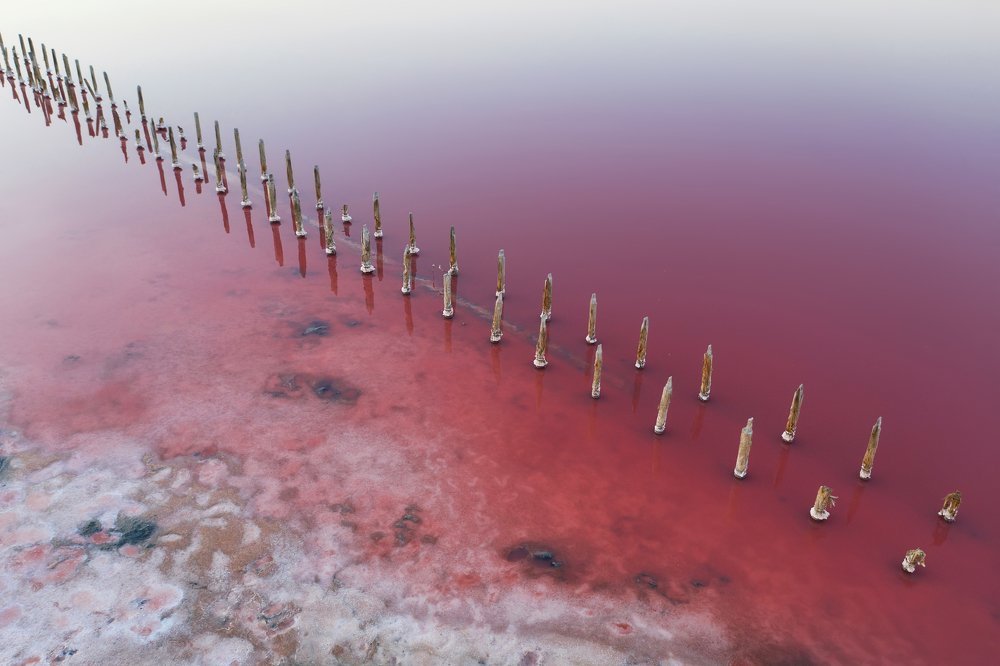 Photograph by Юлия Беркута