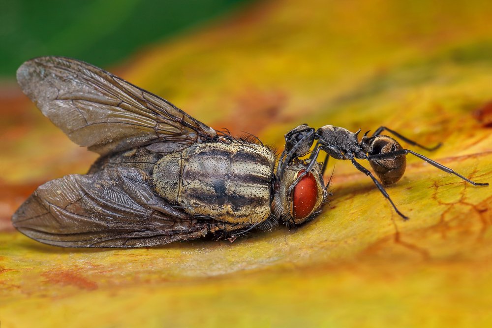 Photograph by Arindam Saha