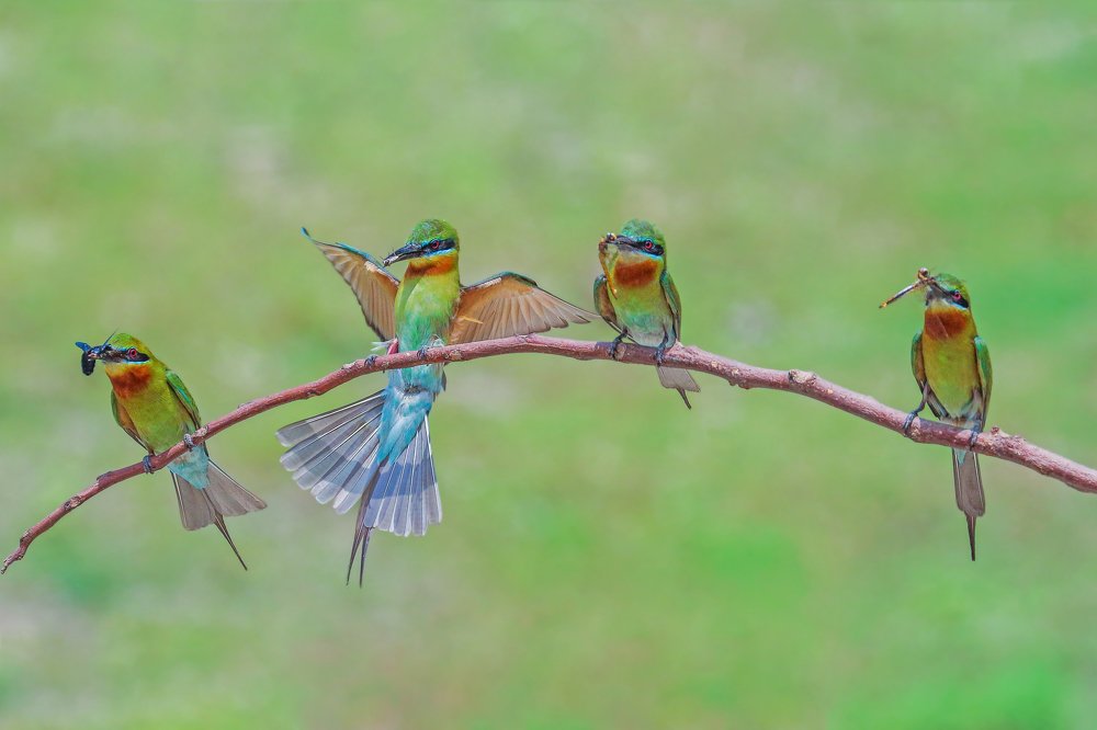 Photograph by Arindam Saha