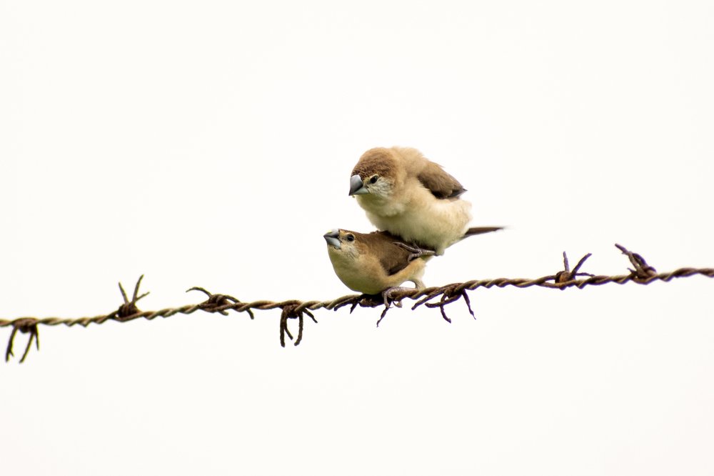 Photograph by mayur shrimali