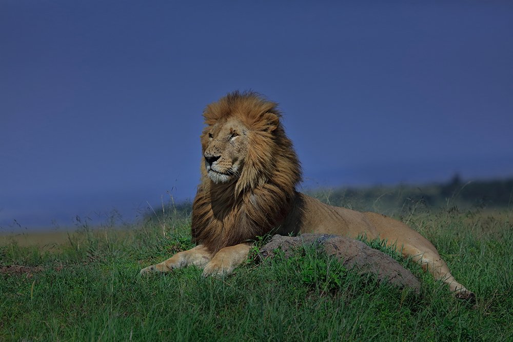 Photograph by SANDEEP YADAV