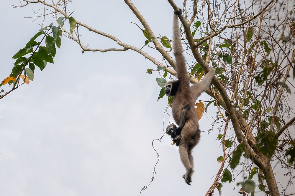 Photograph by SANDEEP YADAV
