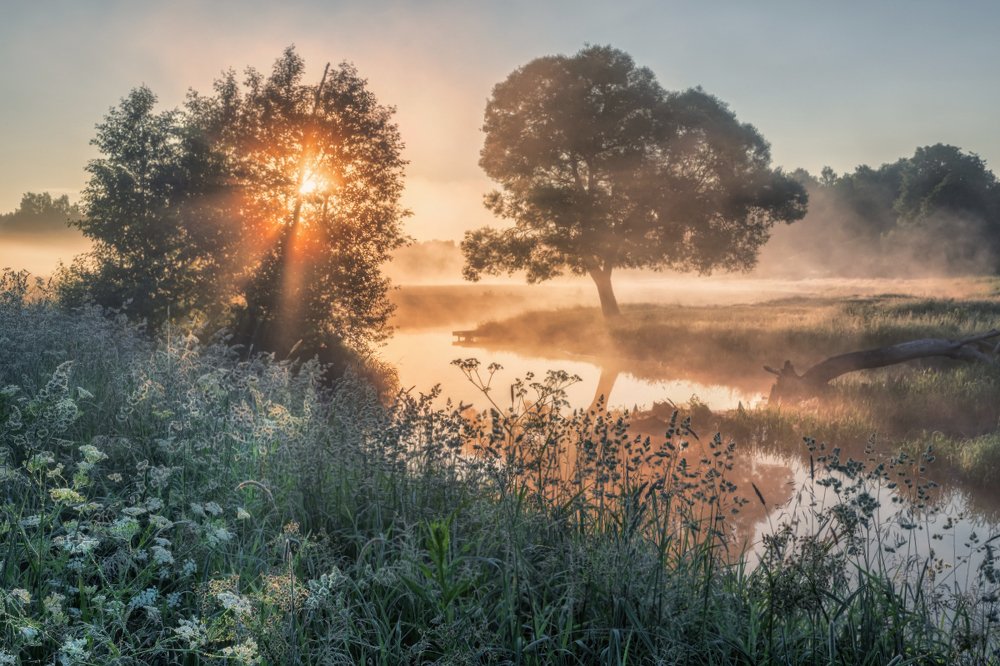 Фотография автора Евгений Ерохин