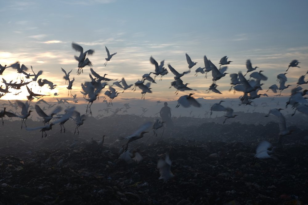 Happy Working in A Trash Field