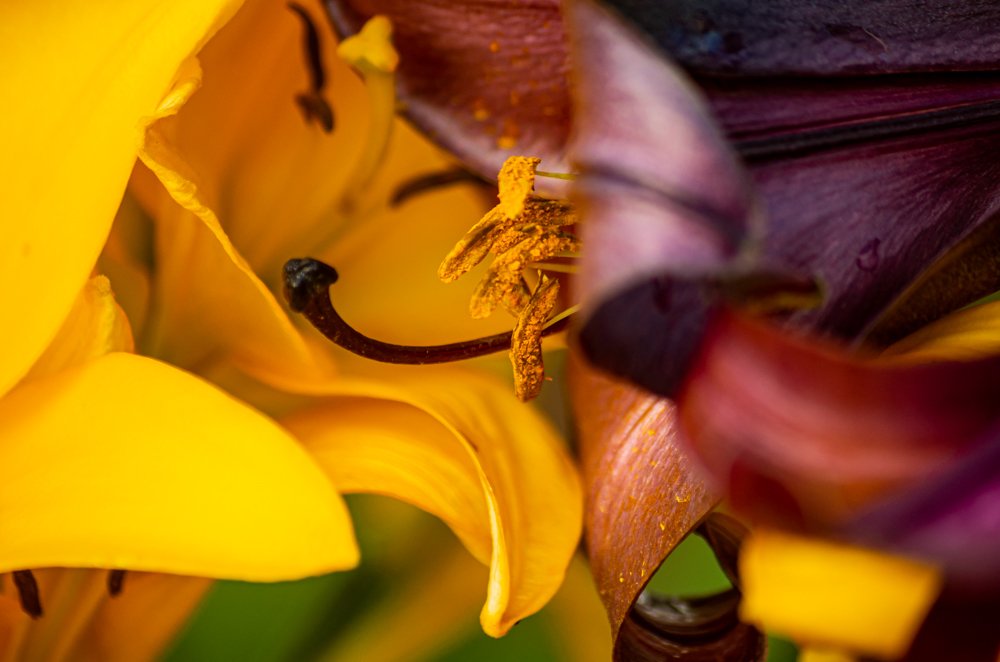 Photograph by Aleksei Degtjarjov