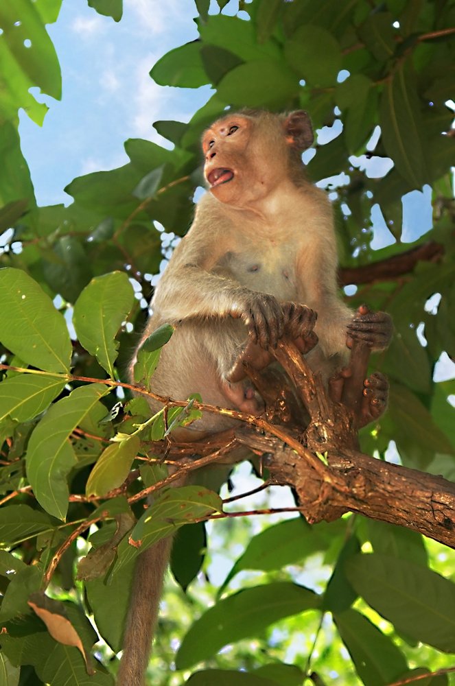 Photograph by Анатолий Максимов