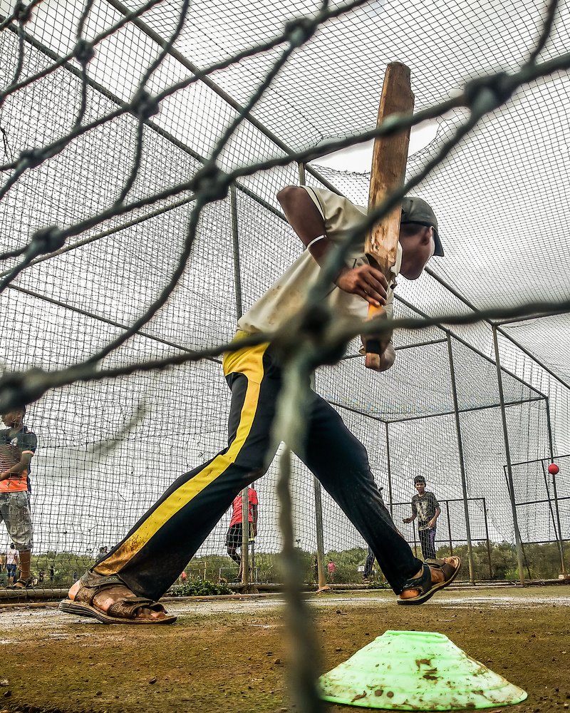 Everything for cricket