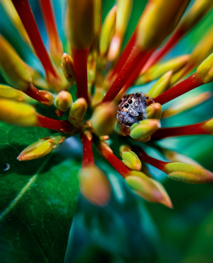 Photograph by Souvik Bhattacharyya