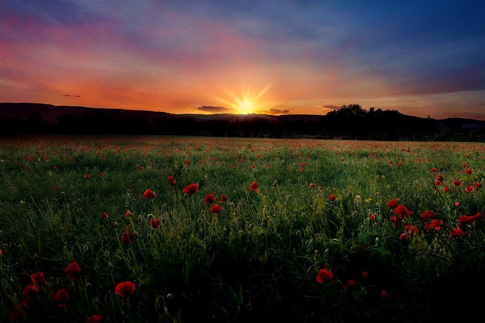 Photograph by Lubomir Libic