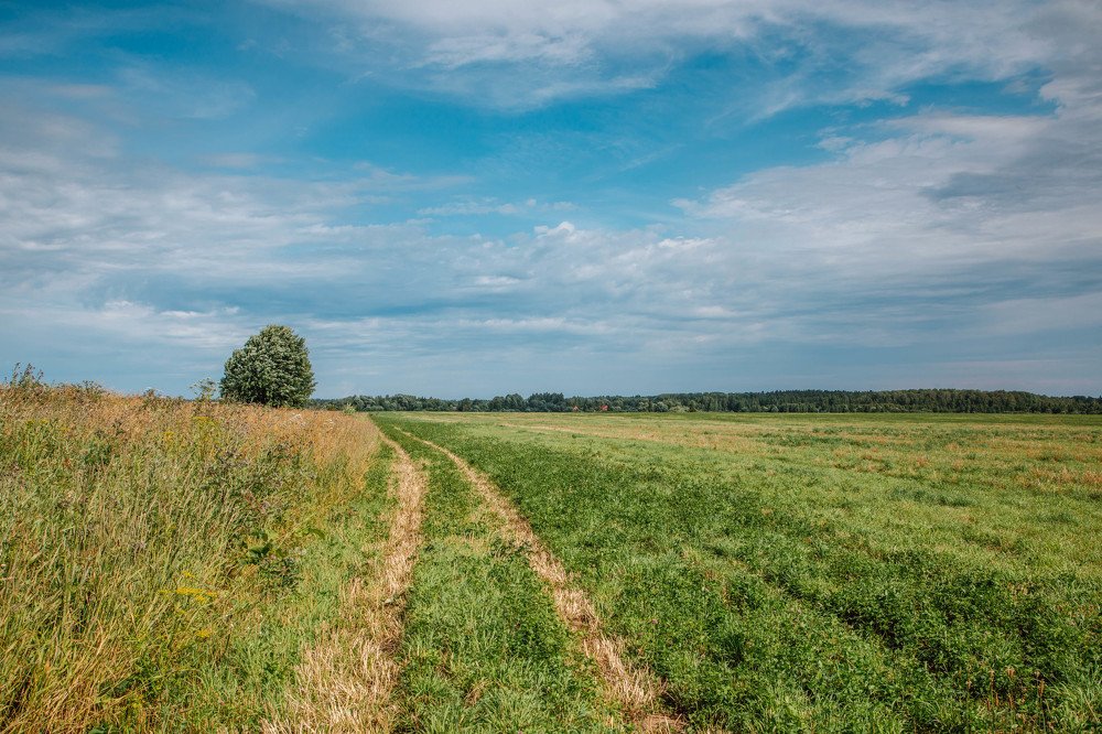 Photograph by Мария Харлашова
