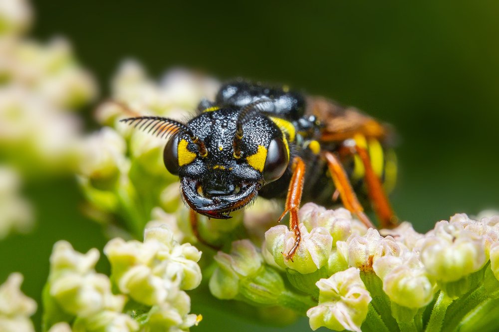 Photograph by Иван Радьков