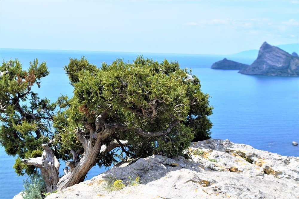 Photograph by виктория