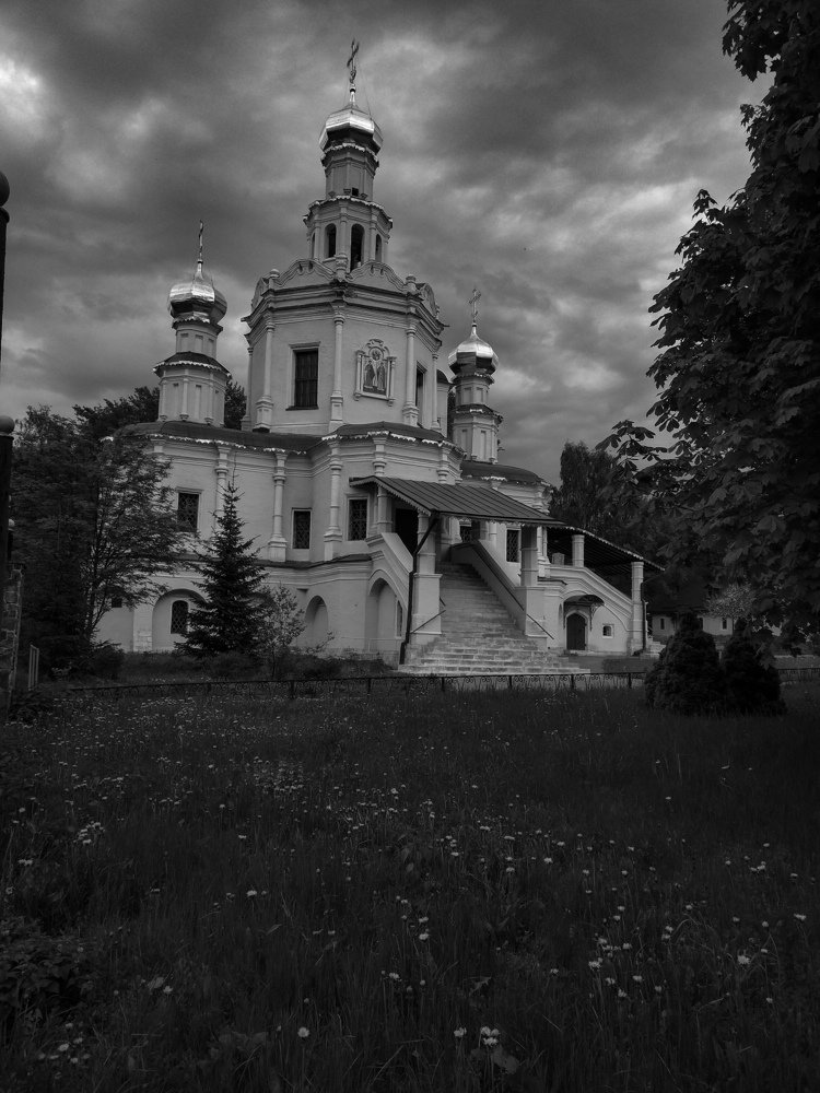 Photo #4811981