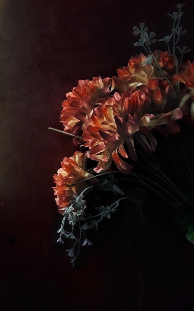 Фотография автора Abhitha