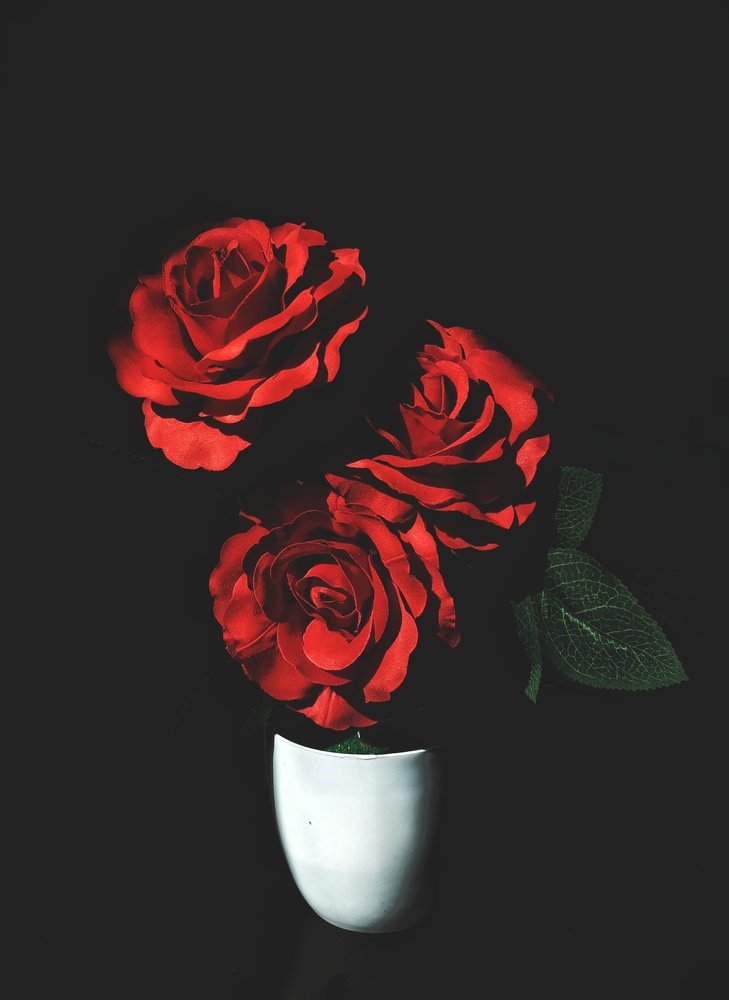 Фотография автора Abhitha