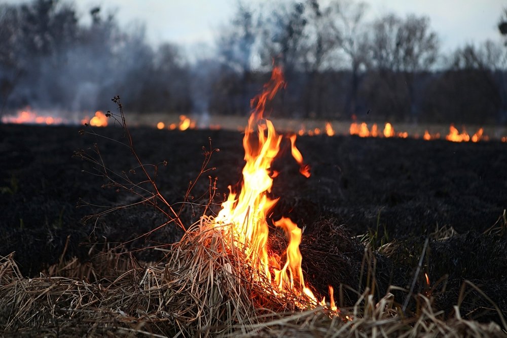 Фотография автора Юлия Капустинская