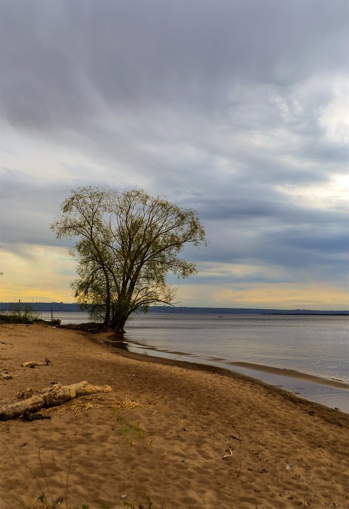 Photograph by Ольга Доловова