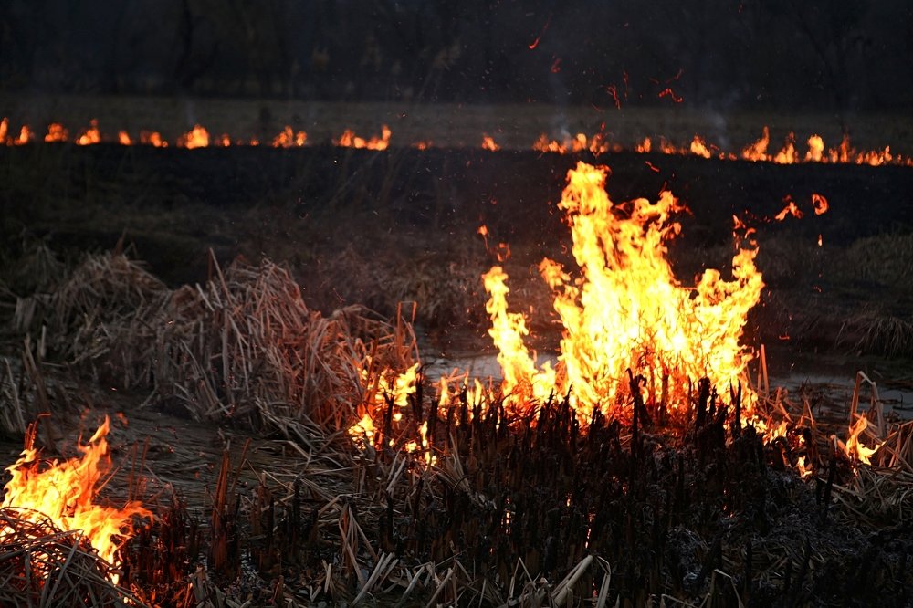 Фотография автора Юлия Капустинская