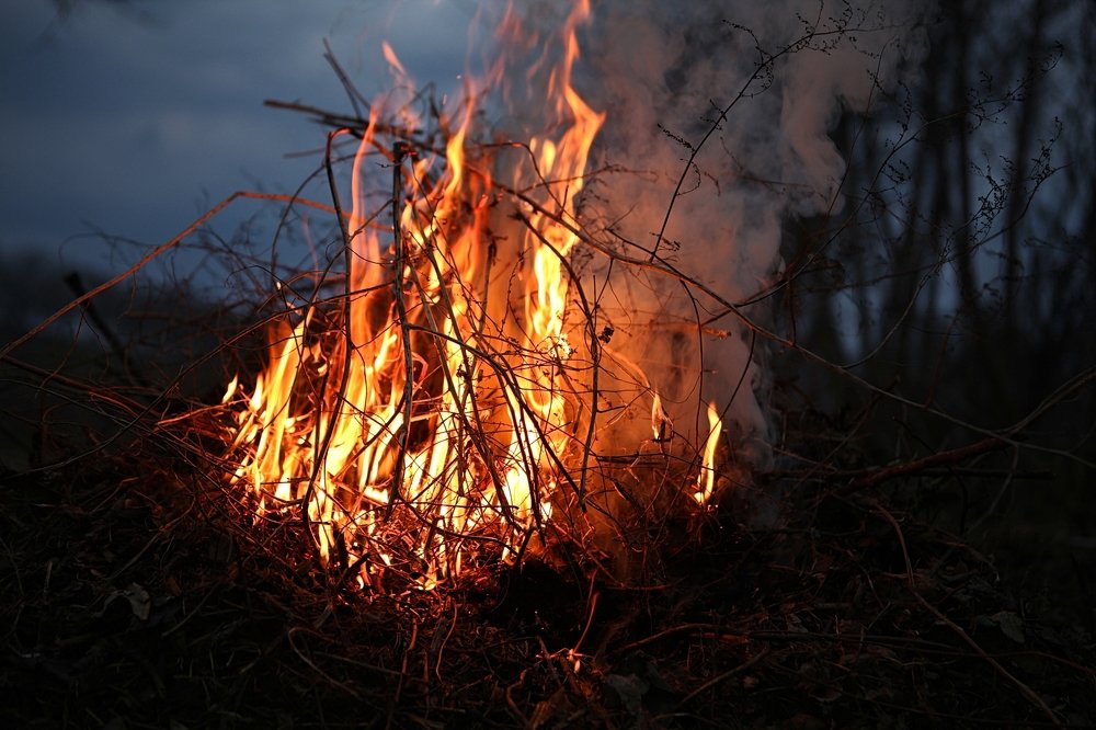 Фотография автора Юлия Капустинская